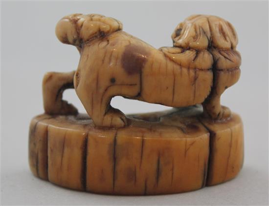A Japanese ivory netsuke of a shi-shi, Edo period, 4.4cm